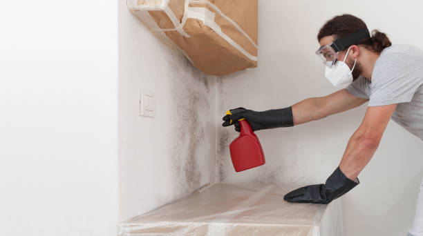 Professional Mold Testing technician working in Romeoville, IL