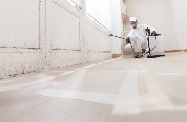 24/7 Emergency Mold Testing experts in Romeoville, IL